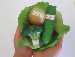 1食の野菜