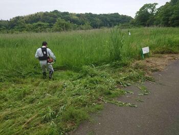 市職員による山梨ほたるの里の整備活動風景