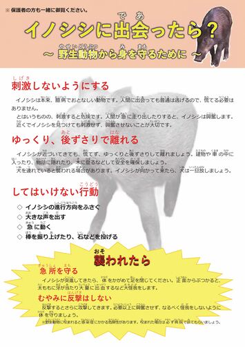 イノシシに出会ったらどうするべきかのチラシ