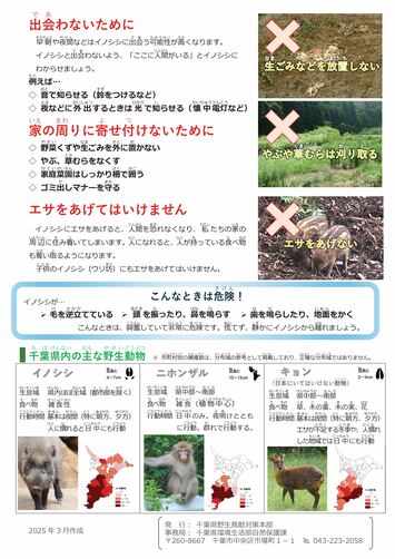 イノシシの接近の予防策及び千葉県内の主な野生動物について説明したチラシ