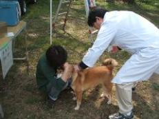 集合注射の様子を撮影した写真