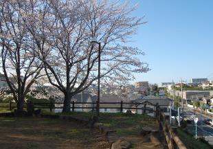 美しが丘・和良比方面を一望の写真
