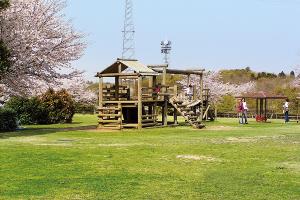 総合公園桜写真