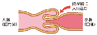 dϏ