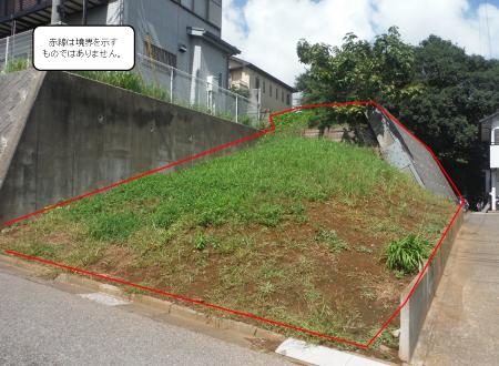 南から撮影の画像
