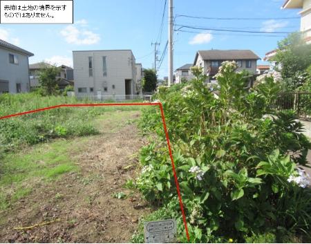 東から撮影の画像