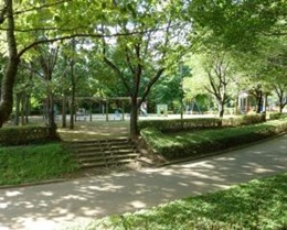 総合公園
