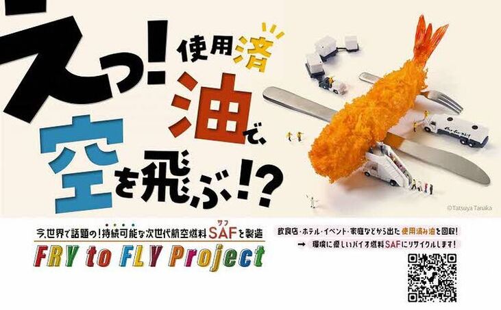Fry to Fly Project