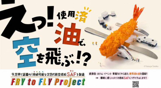 Fry to Fly Project