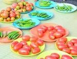 朝市のお野菜