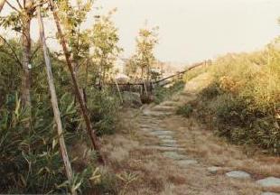 空堀と土塁跡（平成3年頃）の写真