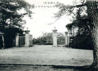 松並木と砲兵学校正門（現・大型商業施設入口）の写真