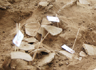 数々の縄文時代後期の土器が出土しましたの写真