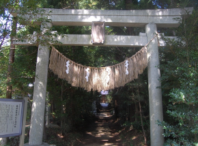 亀崎熊野神社と亀崎城跡の写真