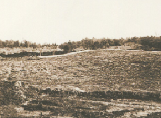 発掘前の千代田遺跡の状況の写真