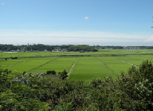 鹿島川流域の写真