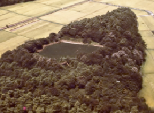 鹿ヶ鼻城（鹿渡城）跡遠景の写真