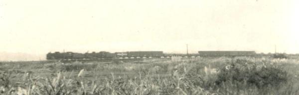 亀崎橋台を走るSL蒸気機関車の写真