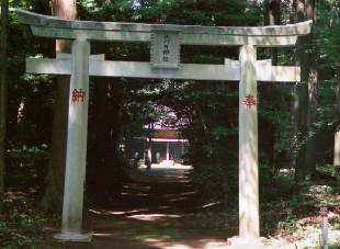 吉岡大六天神社鳥居写真