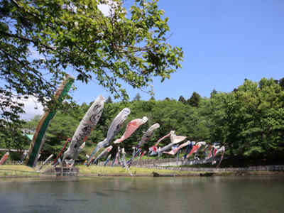 千代田調整池の鯉のぼりの写真